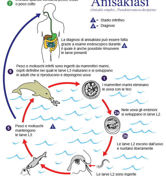 Anisakis Sintomi : come riconoscerli?